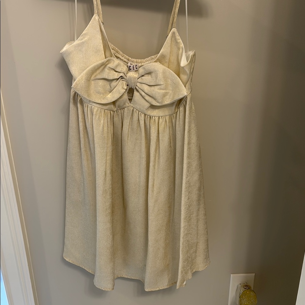 TCEC Cream and Gold Casual Dress